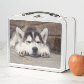 Süßes Sibirisches Husky Welpenschläfchen Metall Brotdose (Beispiel)