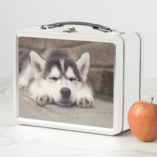 Süßes Sibirisches Husky Welpenschläfchen Metall Brotdose (Beispiel)