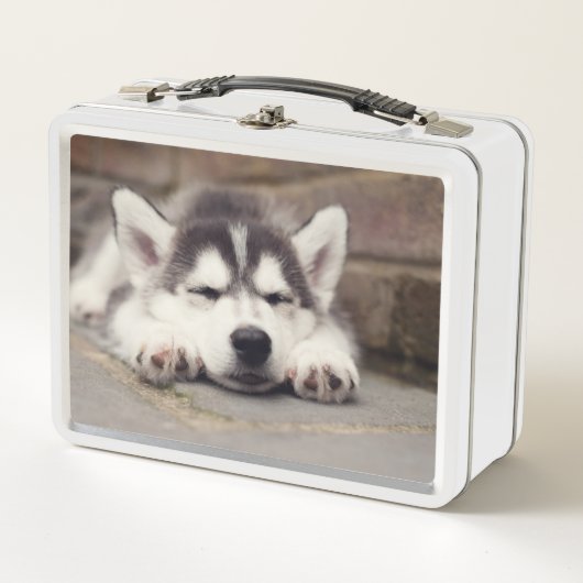 Süßes Sibirisches Husky Welpenschläfchen Metall Brotdose (Vorderseite)
