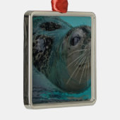 Süßes Siegel Silbernes Ornament (Rechts)