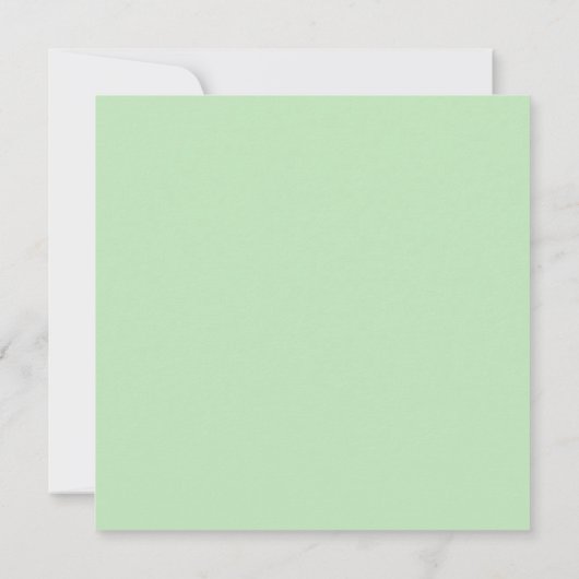 Süßes Sukkuläres Wasserfarbensortiment (Rückseite)