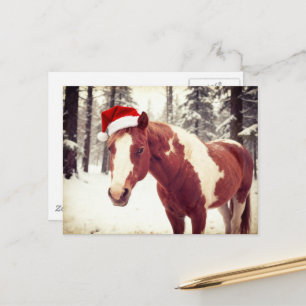 Süßes und Niedliches Weihnachts Paint Horse Postkarte