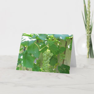 Süßes und saftiges weißes Samenkorb Karte