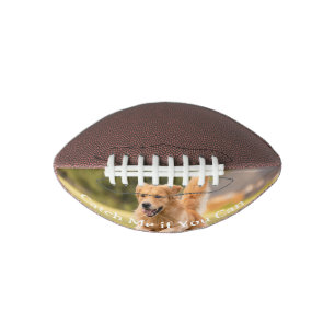Süßes und verspielt gestaltetes Hunde-Football Football