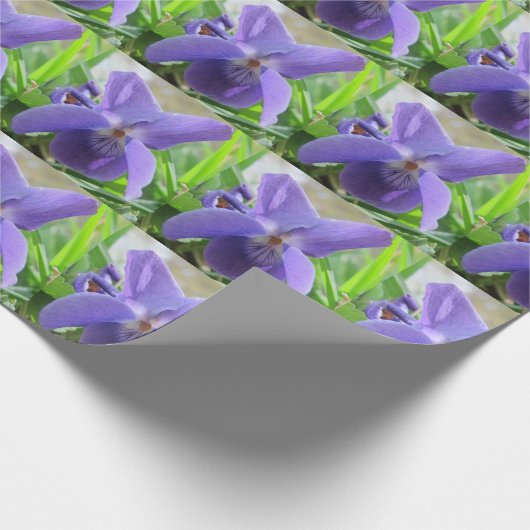 Süßes Veilchen Geschenkpapier (Ecke)