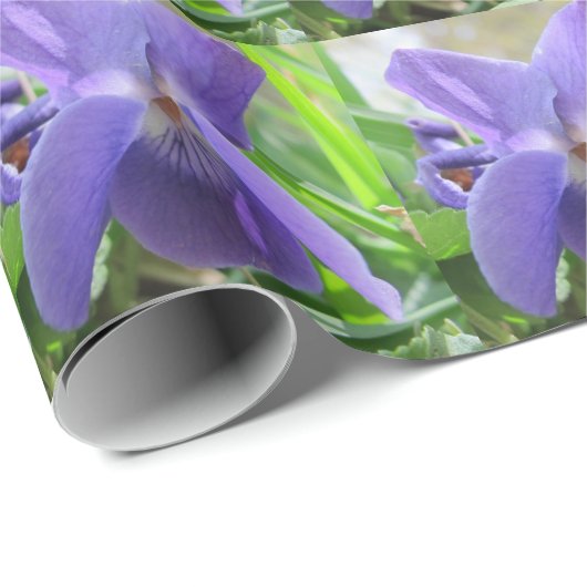 Süßes Veilchen Geschenkpapier (Rolleneckpunkt)