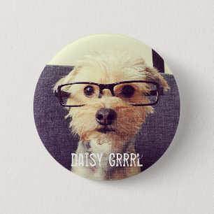 Süßes Vintage-Morkie-Foto Pin Button