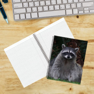 Süßes Waldwaschbär-Wildlife-Foto-Notizbuch Notizblock