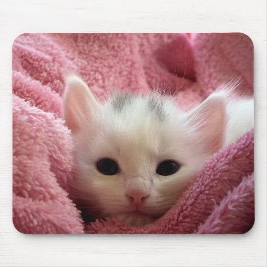 Süßes weiches Kätzchen Mousepad (Vorne)