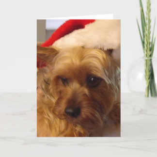 Süßes Weihnachten frech
