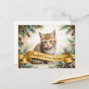 Süßes Weihnachtskitten mit goldenem Band Postkarte