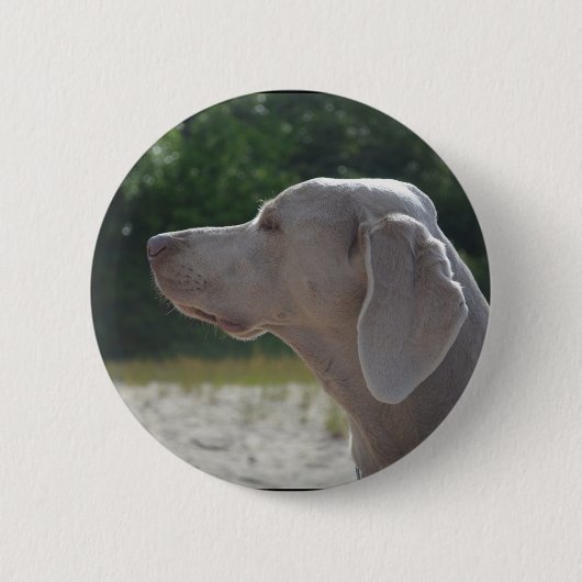 Süßes Weimaraner Hundeprofil Button (Vorderseite)