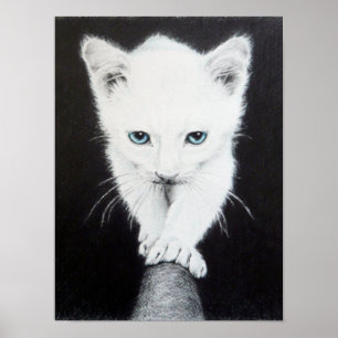 Süßes weißes Kätzchen Tier Zeichnung Kunst Katzenl Poster