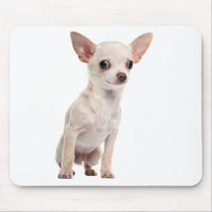 Süßes Welpen-Hundliebhaber-Geschenk Lustige Chihua Mousepad