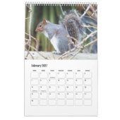 Süßes wildes graues Eichhörnchen (UK) Kalender (Feb 2027)