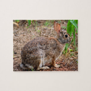 Süßes Wildkaninchen Puzzle