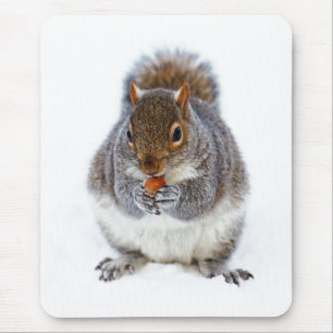 Süßes Winterfoto eines Eichhörnchens beim Nussesse Mousepad