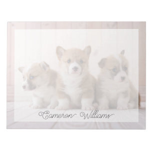 Süßeste Babytierchen   3 Baby Corgis Notizblock