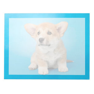 Süßeste Babytierchen   Corgi-Welpe auf Blau Notizblock