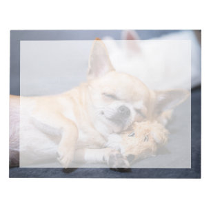 Süßeste Babytierchen Rothaariger Chihuahua-Hund Notizblock