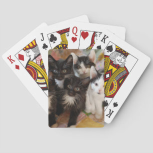 Süßeste Babytierchen Schwarz-weiße Kätzchen Spielkarten