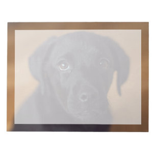 Süßeste Babytierchen   Schwarzer Labrador-Welpe Notizblock