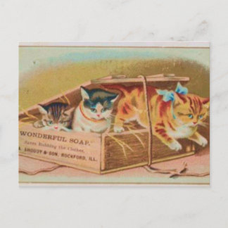 Süßeste Kätzchen Seifenwerbung Postkarte