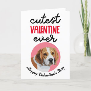 Süßestes Valentinsgruß-Karten von deinem Beagle Feiertagskarte