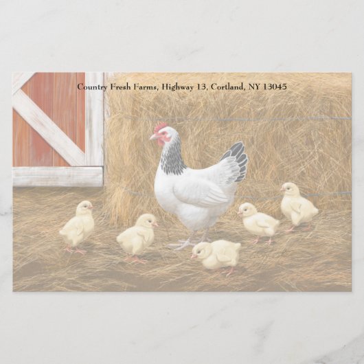 Sussex Chicken Mama Hen und Chicks Briefpapier (Vorderseite)