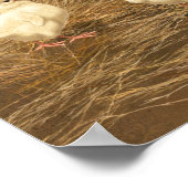 Sussex Chicken Mama Hen und Chicks Poster (Ecke)