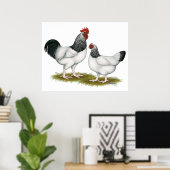 Sussex: Light Pair Poster (Heimbüro)