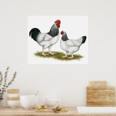 Sussex: Light Pair Poster (Küche)