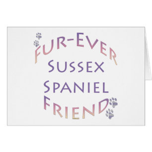 Sussex Spanel Furever Friend