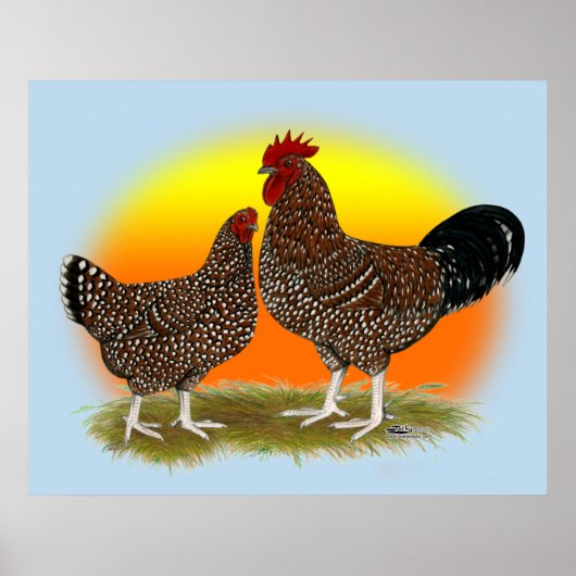 Sussex Sunrise Poster (Vorne)