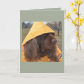SussexSpaniel wartete den Regen Karte (Gelbe Blume)