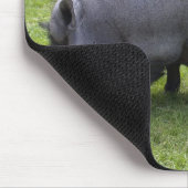 Süßfett| Zuchttiere Mousepad (Ecke)