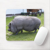 Süßfett| Zuchttiere Mousepad (Mit Mouse)