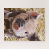 Süßigkeiten Puzzle (Horizontal)