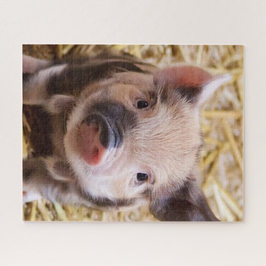 Süßigkeiten Puzzle (Horizontal)