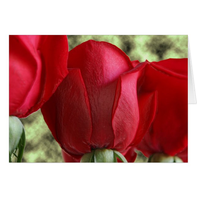 Süßigkeiten Rose (Vorderseite (Horizontal))