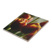 Süßigkeits-Mais-Tulpe-Keramik-Fliese Fliese (Seite)