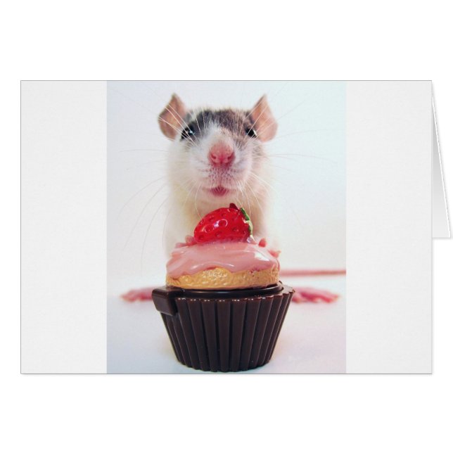 Süßigkeits-Ratte (Vorderseite (Horizontal))