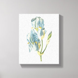 Süßiris (Iris pallida) von Redouté Leinwanddruck