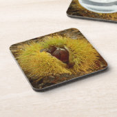 Süßkastanie-harte Untersetzer (Linke Seite)