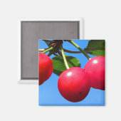 Süßkirschen Magnet (Vorderseite/Rückseite)