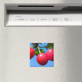 Süßkirschen Magnet (In Situ (Geschirrspüler))