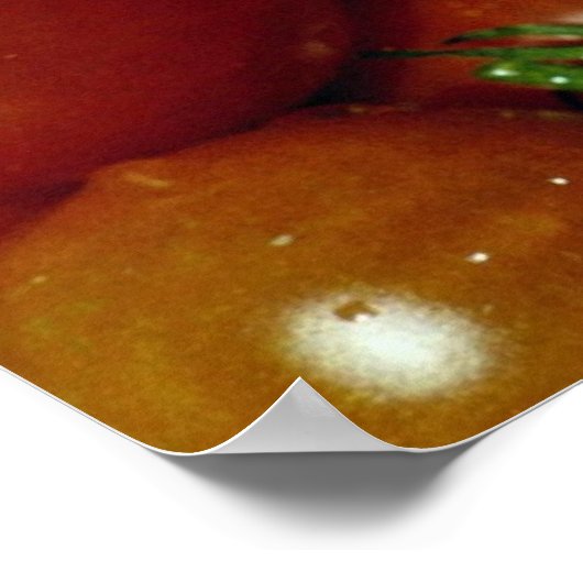 Süßkirschtomaten Poster (Ecke)