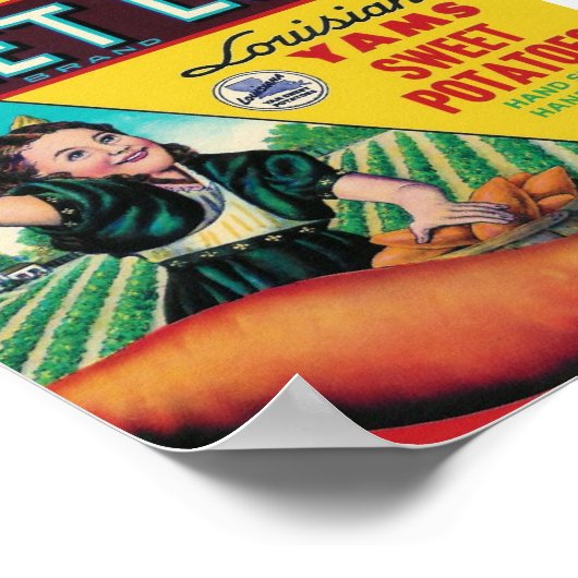 Süßleckerbse Poster (Ecke)