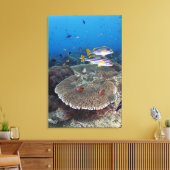 Süßlippenfisch Leinwanddruck (Insitu (Wohnzimmer))
