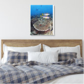 Süßlippenfisch Leinwanddruck (Insitu (Schlafzimmer))